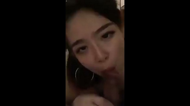 Anjing BJ Doggy