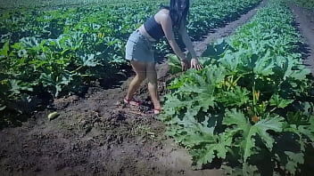Traktoris Nyaris Jatuh ke Jurang Saat Lihat Syuting Film Porno di Ladang Zukini!